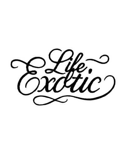 LIFE3XOTIC